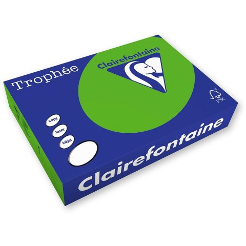 Papier kolorowy kolorowy A4 miętowy 250k. 160g Trophee (xca41025)