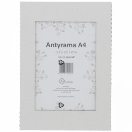 Antyrama M-interio plexi plexi [mm:] 210x297 (AR21x29,7)