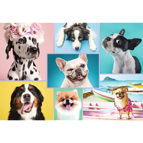 Puzzle Trefl 1500 el. (26186) Puzzle Trefl 1500 el. (26186)