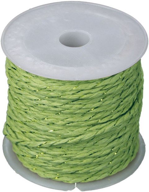 Sznurek Titanum Craft-Fun Series papierowy 10m (24BR0201-15(green)) Sznurek Titanum Craft-Fun Series papierowy 10m (24BR0201-15(green))