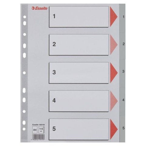 Przekładka numeryczna Esselte A4 szara 5k 1-5 (100103)