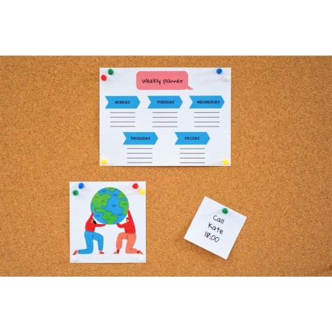 Tablica korkowa w drewnianej ramie [mm:] 600x400 Memoboards (TC64)