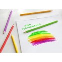 Kredki ołówkowe Faber Castell Grip 12 kol. (112412)