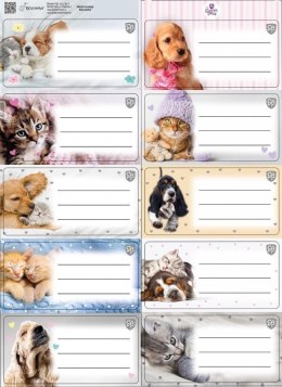 Naklejka na zeszyt Beniamin The Sweet Pets kids