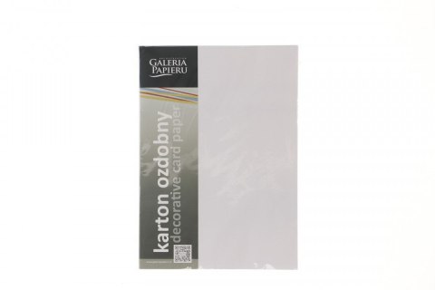 Papier ozdobny (wizytówkowy) Galeria Papieru brillo biały A4 biały 200g (205406) Papier ozdobny (wizytówkowy) Galeria Papieru brillo biały A4 biały 200g (205406)