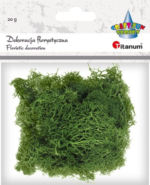 Dekoracja Titanum Craft-Fun Series dekoracja florystyczna mech chrobotek (2324045 DG) Dekoracja Titanum Craft-Fun Series dekoracja florystyczna mech chrobotek (2324045 DG)