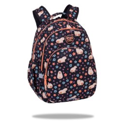Plecak Patio BASE PLUS CAPYBARA Coolpack (F027937)