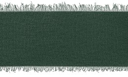 Wstążka Titanum Craft-Fun Series szyfonowa strzępiona 40x10 [mm x m] zielony butelkowy (WJ40-10-012B)