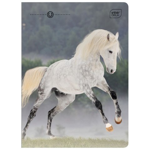 Zeszyt WILD HORSES A5 32k. 70g linia kolor Interdruk Zeszyt WILD HORSES A5 32k. 70g linia kolor Interdruk