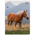 Zeszyt WILD HORSES A5 32k. 70g linia kolor Interdruk Zeszyt WILD HORSES A5 32k. 70g linia kolor Interdruk