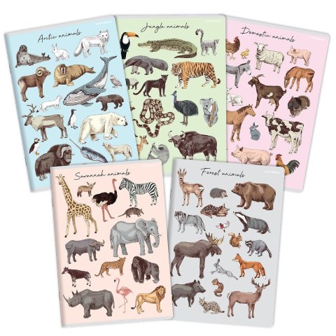 Zeszyt PP A5 32k. krata Top 2000 (400174505)