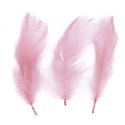 Piórka Craft-Fun Series różowy pastelowy Titanum