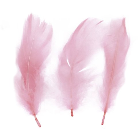 Piórka Craft-Fun Series różowy pastelowy Titanum