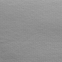 Papier ozdobny (wizytówkowy) Żeberkowy A4 biały 100g Protos