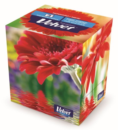 Chusteczki higieniczne Velvet Travel Pack A`60 60 szt Chusteczki higieniczne Velvet Travel Pack A`60 60 szt