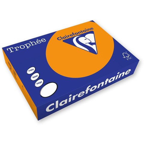 Papier kolorowy Trophee kolorowy A4 pomarańczowy 160g (xca41765) Papier kolorowy Trophee kolorowy A4 pomarańczowy 160g (xca41765)