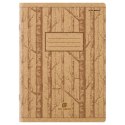 Zeszyt Top 2000 Go Green STANDARD A5 60k. 70g krata (400153377)