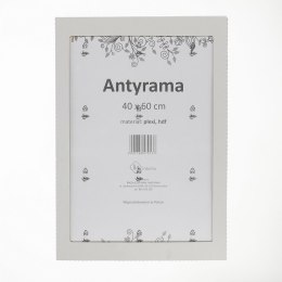 Antyrama M-interio plexi plexi [mm:] 400x600 (AR40x60)