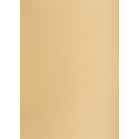 Brystol A1 jasnobrązowy 160g 25k [mm:] 610x860 TOP-2000 (400149527)