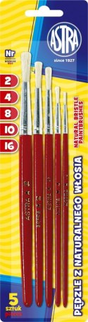 Pędzel nr 2,4,8,10,16 Astra (315111002)