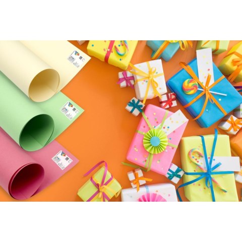 Brystol A1 ciemnoniebieski 160g 25k [mm:] 610x860 TOP-2000 (400149566)