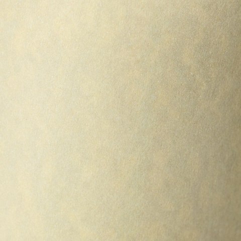 Papier ozdobny (wizytówkowy) Granit A4 kremowy 220g Galeria Papieru (200402) Papier ozdobny (wizytówkowy) Granit A4 kremowy 220g Galeria Papieru (200402)