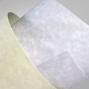 Papier ozdobny (wizytówkowy) Granit A4 kremowy 220g Galeria Papieru (200402)