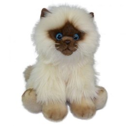 Pluszak Anek Kot Siamese 30 cm [mm:] 300 (84404SI AN01)