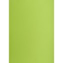 Brystol A1 jasnozielony 160g 25k [mm:] 610x860 TOP-2000 (400149557)